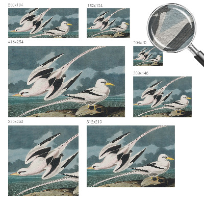 Fototapeta fizelinowa z nadrukiem Ptaki nad morzem