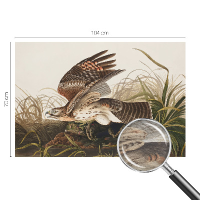 Fototapeta fizelinowa do sypialni Fototapeta fizelinowa do sypialni Skrzydlate piękno