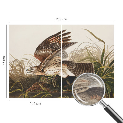 Fototapeta fizelinowa do sypialni Fototapeta fizelinowa do sypialni Skrzydlate piękno