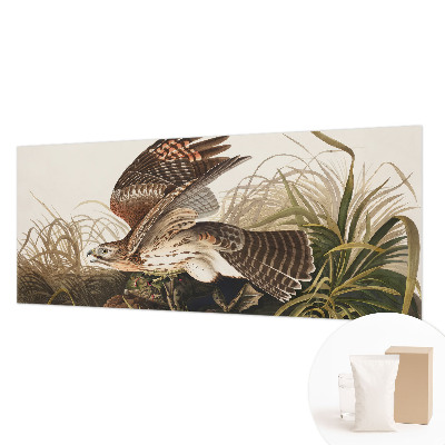 Fototapeta fizelinowa do sypialni Fototapeta fizelinowa do sypialni Skrzydlate piękno