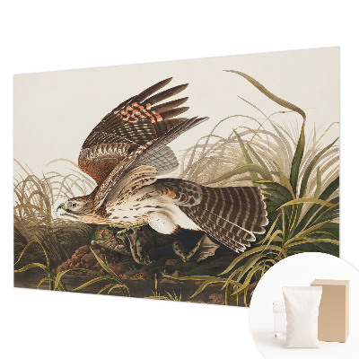 Fototapeta fizelinowa do sypialni Fototapeta fizelinowa do sypialni Skrzydlate piękno