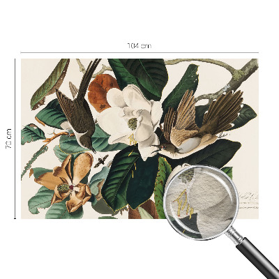 Fototapeta na ścianę z motywem ptaków i magnolii