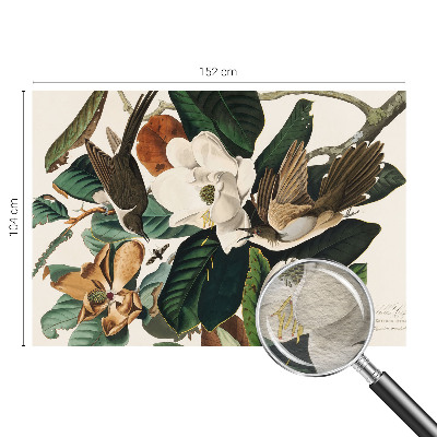 Fototapeta na ścianę z motywem ptaków i magnolii