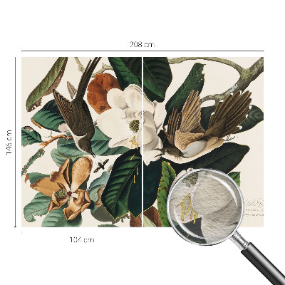 Fototapeta na ścianę z motywem ptaków i magnolii