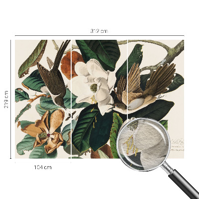 Fototapeta na ścianę z motywem ptaków i magnolii