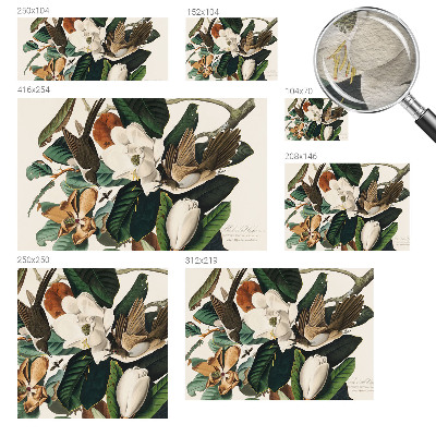 Fototapeta na ścianę z motywem ptaków i magnolii