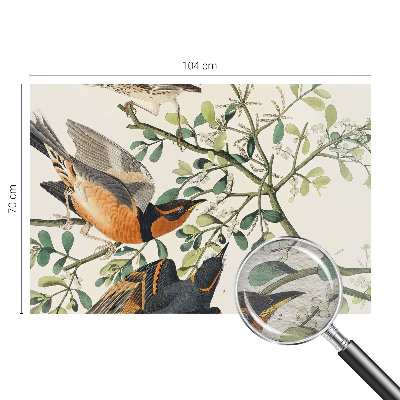 Fototapeta na ścianę Barwne ptaki