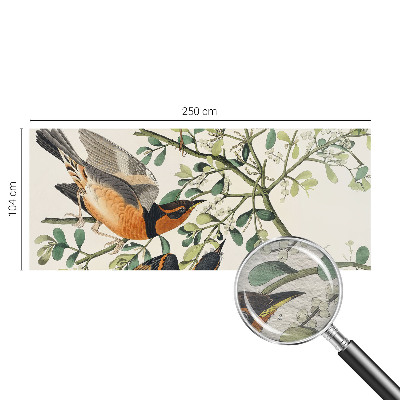 Fototapeta na ścianę Barwne ptaki