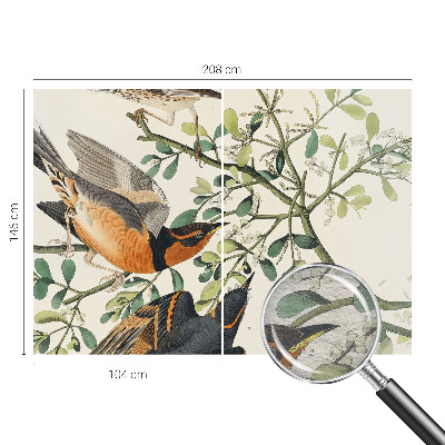 Fototapeta na ścianę Barwne ptaki