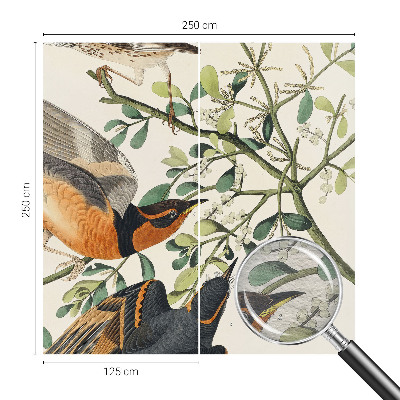 Fototapeta na ścianę Barwne ptaki