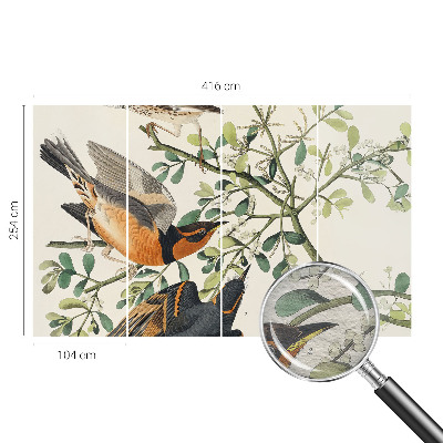 Fototapeta na ścianę Barwne ptaki