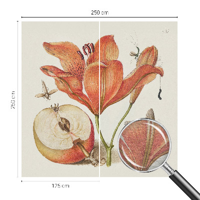 Fototapeta na ścianę z botaniczną ilustracją
