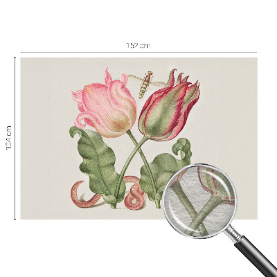 Fototapeta fizelinowa z nadrukiem Tulipanowe piękno