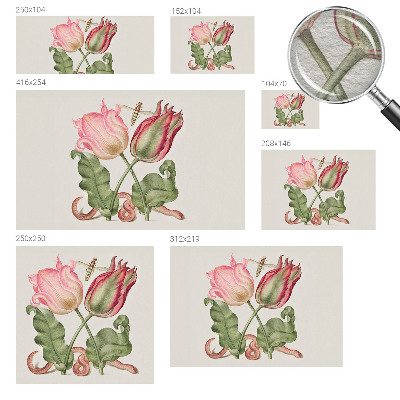 Fototapeta fizelinowa z nadrukiem Tulipanowe piękno