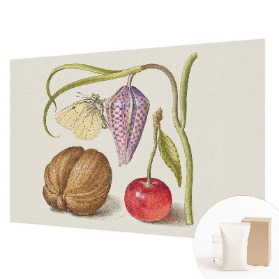 Tapeta fotograficzna Motyl rośliny