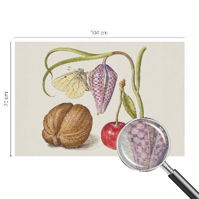 Tapeta fotograficzna Tapeta fotograficzna Motyl rośliny