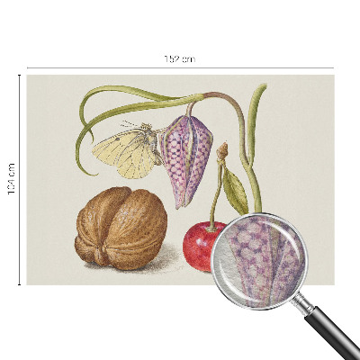 Tapeta fotograficzna Tapeta fotograficzna Motyl rośliny