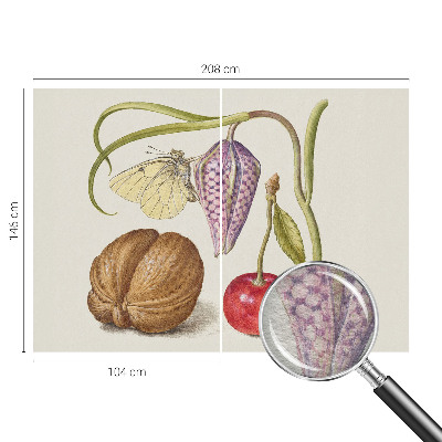 Tapeta fotograficzna Tapeta fotograficzna Motyl rośliny