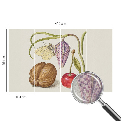 Tapeta fotograficzna Tapeta fotograficzna Motyl rośliny