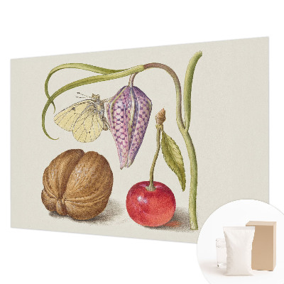 Tapeta fotograficzna Tapeta fotograficzna Motyl rośliny