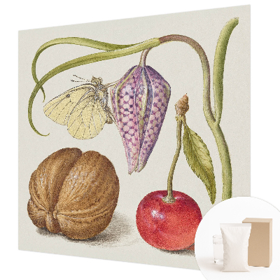 Tapeta fotograficzna Tapeta fotograficzna Motyl rośliny