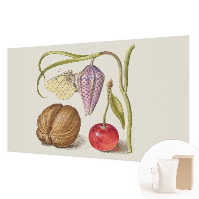 Tapeta fotograficzna Tapeta fotograficzna Motyl rośliny