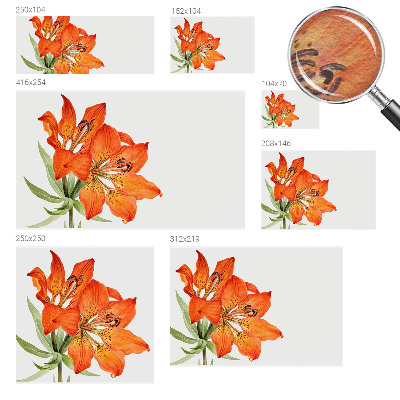 Tapeta fotograficzna fizelinowa z motywem pomarańczowej lilii