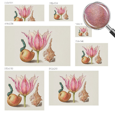 Nowoczesna fototapeta do salonu z motywem „Naturalna symbioza”