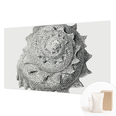 Nowoczesna fototapeta do salonu Nowoczesna fototapeta do salonu Sztuka natury