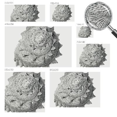 Nowoczesna fototapeta do salonu Nowoczesna fototapeta do salonu Sztuka natury