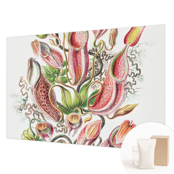 Dekoracyjna fototapeta na ścianę Roślinne detale