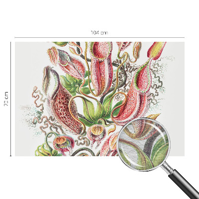 Dekoracyjna fototapeta na ścianę Roślinne detale