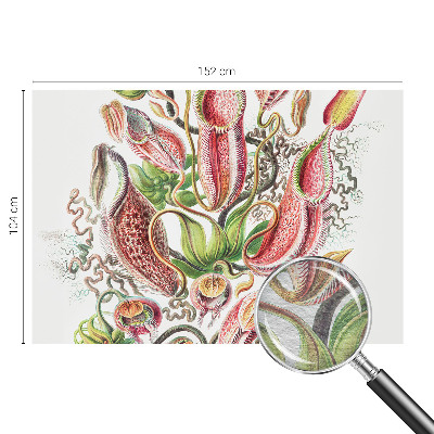 Dekoracyjna fototapeta na ścianę Roślinne detale