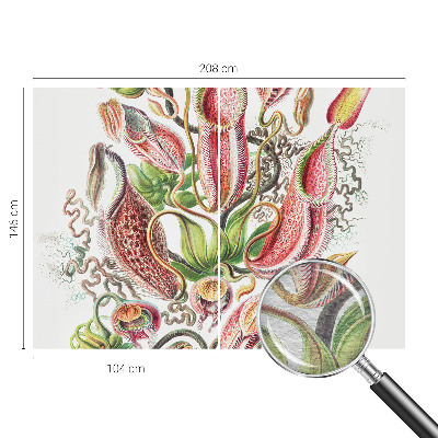 Dekoracyjna fototapeta na ścianę Roślinne detale