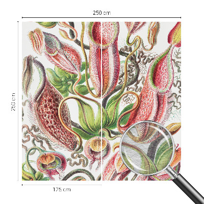 Dekoracyjna fototapeta na ścianę Roślinne detale