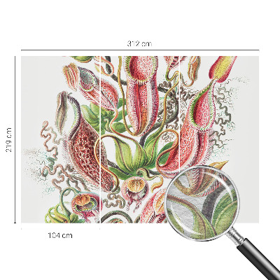 Dekoracyjna fototapeta na ścianę Roślinne detale