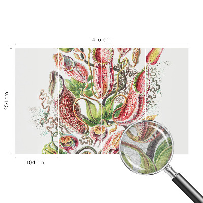 Dekoracyjna fototapeta na ścianę Roślinne detale