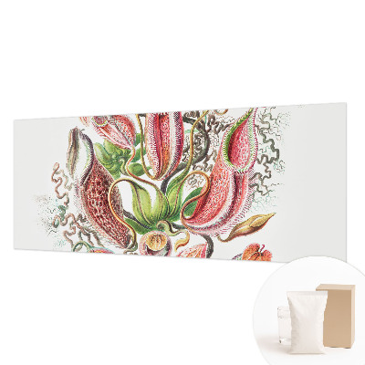 Dekoracyjna fototapeta na ścianę Roślinne detale