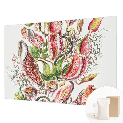 Dekoracyjna fototapeta na ścianę Roślinne detale