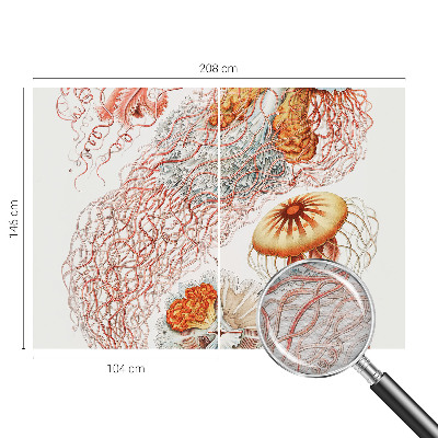 Fototapeta fizelinowa do sypialni Fantazyjne meduzy