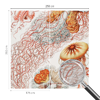 Fototapeta fizelinowa do sypialni Fantazyjne meduzy