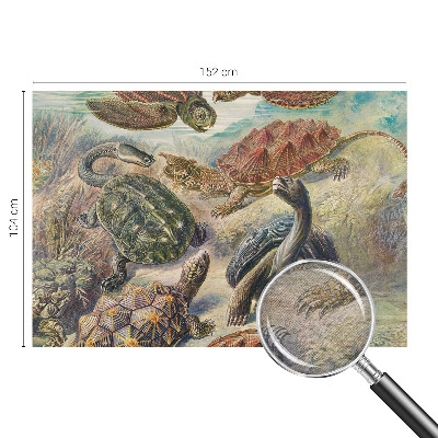 Tapeta fotograficzna Żółwiej fauna