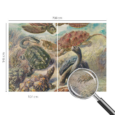 Tapeta fotograficzna Żółwiej fauna