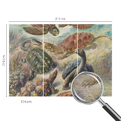 Tapeta fotograficzna Żółwiej fauna