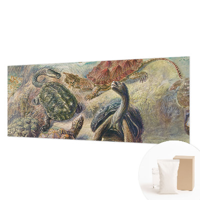 Tapeta fotograficzna Żółwiej fauna