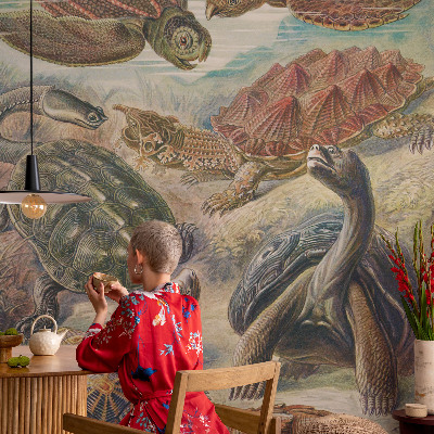 Tapeta fotograficzna Żółwiej fauna