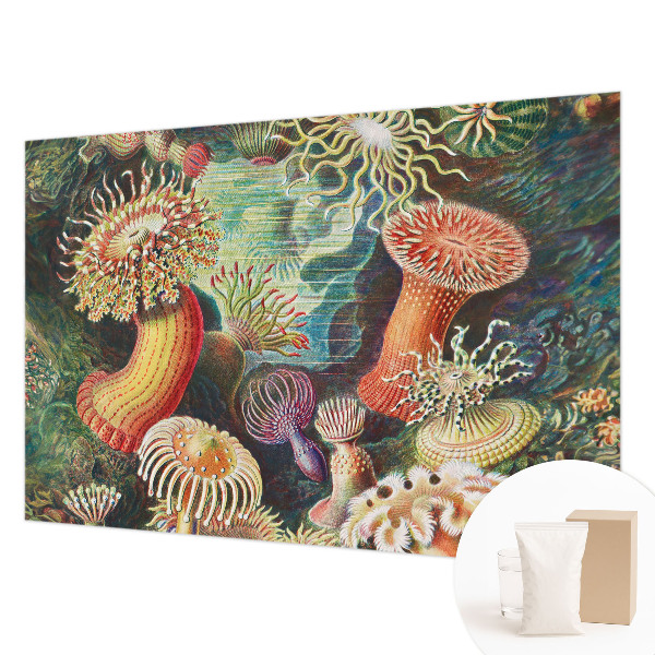 Fototapeta na ścianę z motywem fantazyjnych anemonów