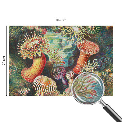 Fototapeta na ścianę z motywem fantazyjnych anemonów