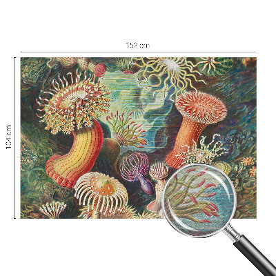 Fototapeta na ścianę z motywem fantazyjnych anemonów