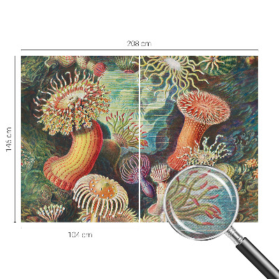 Fototapeta na ścianę z motywem fantazyjnych anemonów